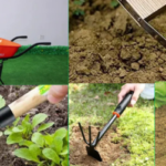 5 Gardening Supplies You Can Get For Free